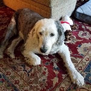 Meet your Posher, Teri